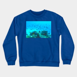 Tropical Fish Swimming Underwater in Blue Ocean Crewneck Sweatshirt